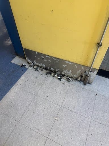 Door cleaning